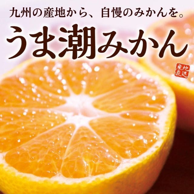 九州産「うま潮みかん」(約2.5kg)