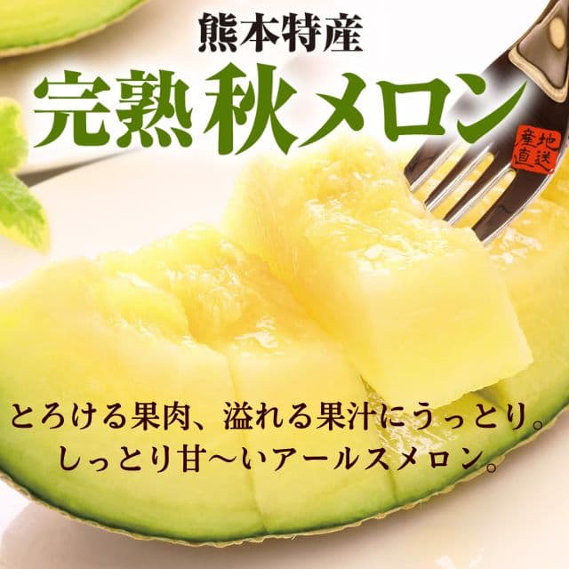 熊本県産「完熟 秋メロン」(約1.5kg)
