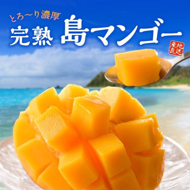 鹿児島県産「完熟 島マンゴー」(約1kg)