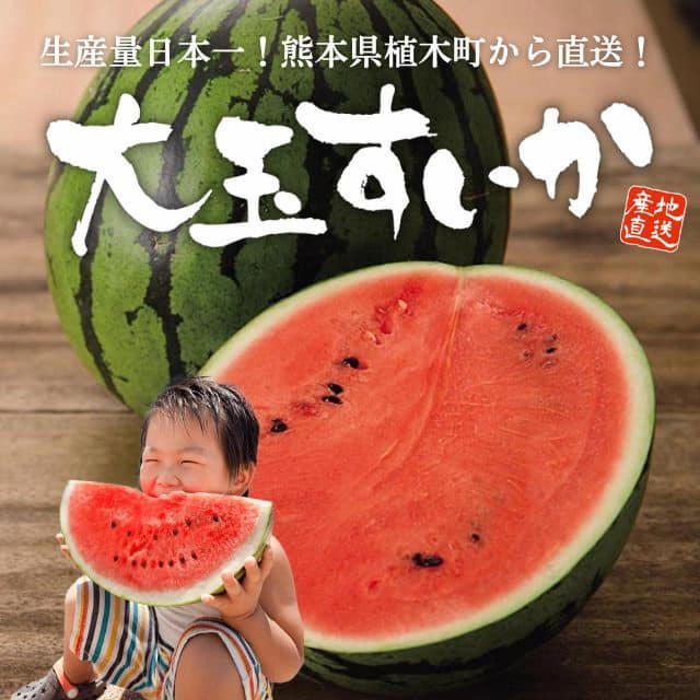熊本名産「大玉すいか」(1玉:7~8kg・2Lサイズ)
