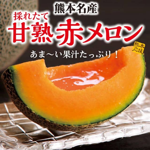 熊本県産「赤メロン」1玉(1.0〜1.2Kg)