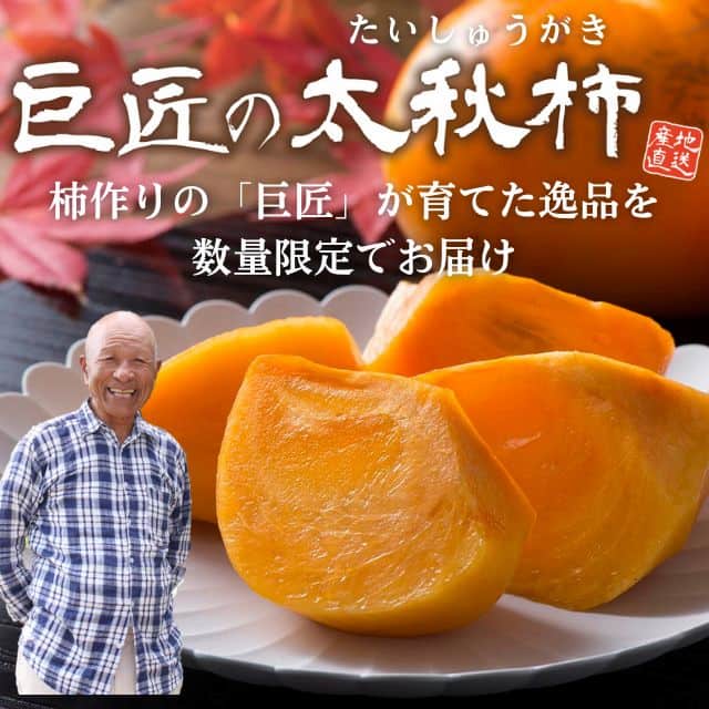 福岡県産「巨匠の太秋柿」（約2kg）