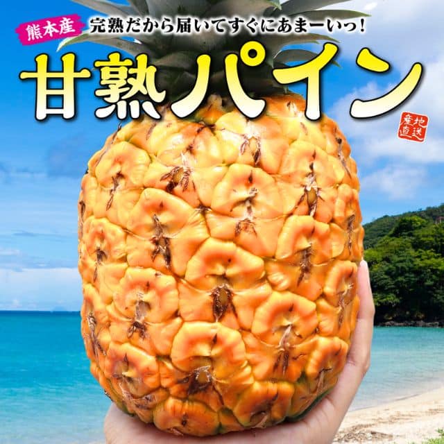 熊本県産「甘熟パイン」（1玉約1kg）