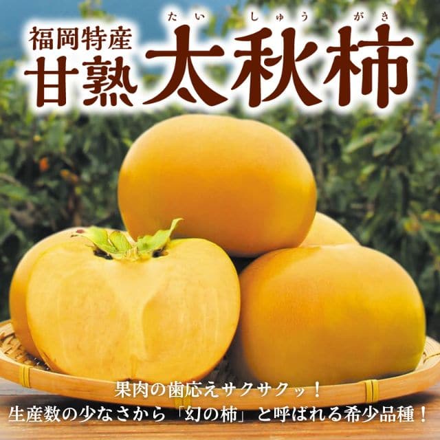 福岡県産「甘熟太秋柿」(約2kg)